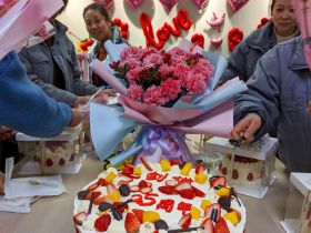 德信app官方版下载举办三八妇女节活动